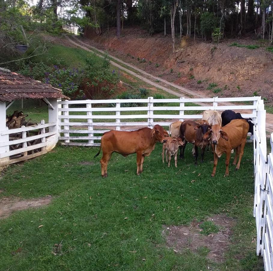Chales Vinhas Da Harmonia L Pousada Em Cunha Sp Eksteriør billede