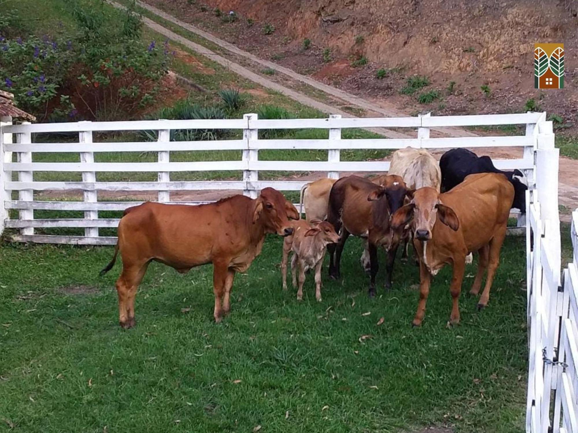 Chales Vinhas Da Harmonia L Pousada Em Cunha Sp Værelse billede
